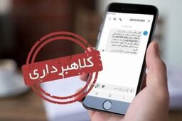 هشدار پلیس درباره ترفند جدید کلاهبرداری با نام «کالا برگ»/ این پیامک ها را باز نکنید
