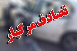 تردد غیرمجاز عابر پیاده کار دستش داد