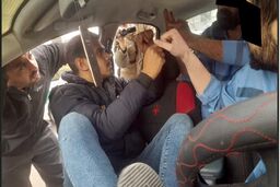 جزییات جنایت سفارشی از زبان آدمکش مخوف ملقب به تاکور