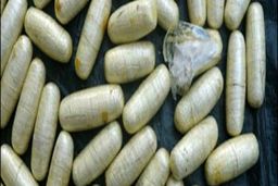 انهدام باند بزرگ قاچاق کوکائین در تهران