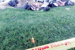 برادرم را به خاطر اختلاف بر سر یک ملک، تکه تکه کردم