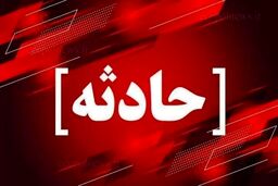 سارقان به همراه خودروی مسروقه راهی زندان شدند 