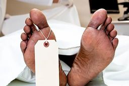 ۲۰۷ مادرِ قاتل، راز جنایت چیتگر را لو داد