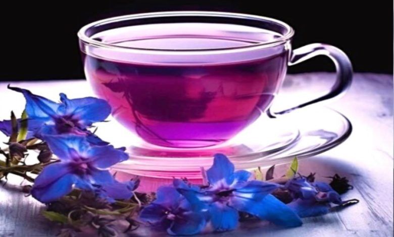 با این دمنوش کلیه‌ها را تقویت کنید+ روش تهیه