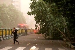 آمار مصدومان طوفان شب گذشته در تهران اعلام شد