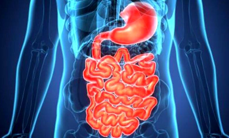 ۶ راهکار برای مراقبت بهداشتی از دستگاه گوارش