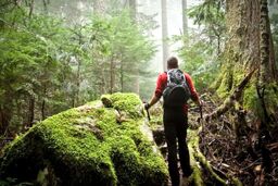 کشف تازه: تمرین تجسمی ساده برای نابودی استرس