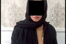 دزدی بزرگ در پوشش نظافتچی/ تبهکاران خارجی به دام افتادند