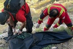کشف جسد استاد دانشگاه دو ماه پس از ناپدید شدن
