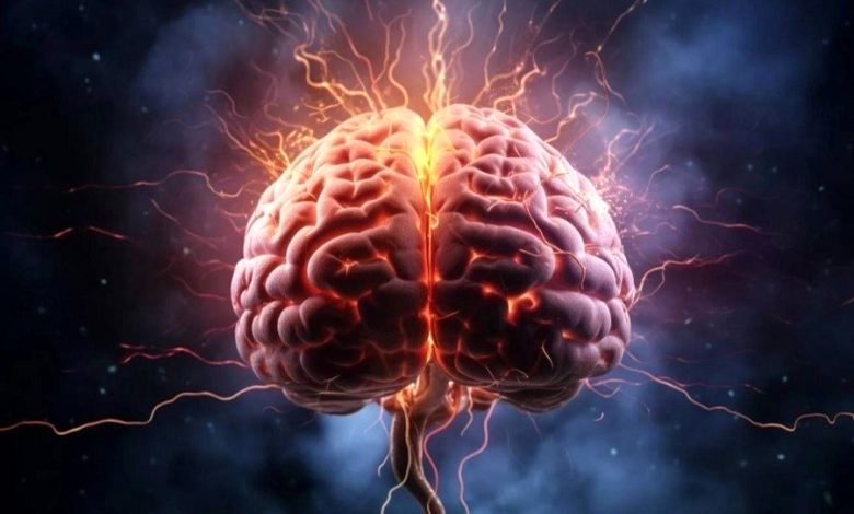 این ورزش روند پیری مغز را نزولی می‌کند