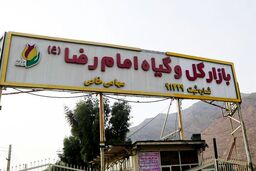 احتمال پلمب یک بازار گل و گیاه در تهران