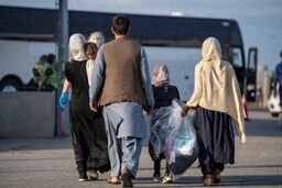 رادان: اتباع غیرمجاز میهمان ما نیستند/ به سرعت از کشور اخراج می شوند