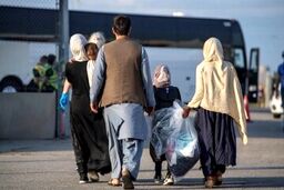 رادان: اتباع غیرمجاز میهمان ما نیستند/ به سرعت از کشور اخراج می شوند