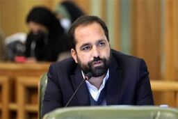 واکنش عضو شورای شهر تهران به قتل الهه حسین‌نژاد؛ یک بند قانونی می‌تواند جان هزاران نفر را نجات دهد