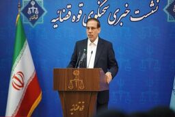 واکنش قوه قضائیه به قتل الهه حسین‌نژاد؛ برخی تلاش دارند ناامنی را در جامعه ما تحمیل کنند/ ماجرای تفاضل دیه چه می‌شود؟