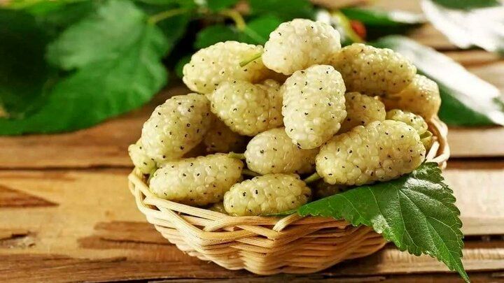 با خوردن این میوه افسرده نمی‌شوید