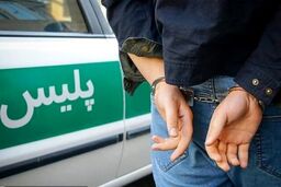 اعترافات عناصر دستگیرشده دشمن در تجمعات اخیر به زودی منتشر می‌شود
