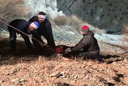 مرگ دو زن در حادثه سقوط خودرو به دره در بزرگراه شهید خرازی