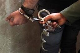 مردی که همسرش را خفه کرده بود پس از ۷ سال بخشیده شد