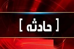 اعترافات عناصر دستگیرشده دشمن در تجمعات اخیر به زودی منتشر می‌شود