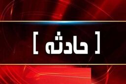 اعترافات عناصر دستگیرشده دشمن در تجمعات اخیر به زودی منتشر می‌شود