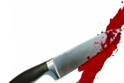 ماجرای پیام‌های تهدیدآمیز در گوشی قاتل