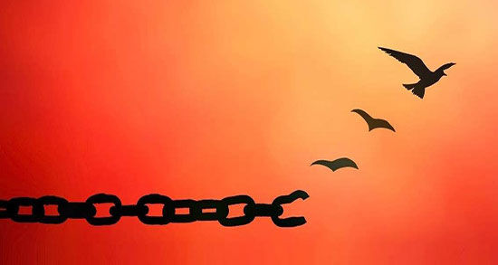 مادر داغدار قاتل پسرش را پای چوبه دار بخشید