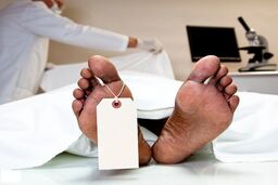 رازگشایی از مرگ 3 تهرانی در روز جمعه؛ حوادث مرگبار چگونه رخ دادند؟