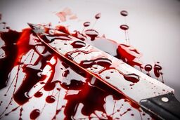 شروع تحقیقات برای دستگیری متهم پرونده قتل بامدادی