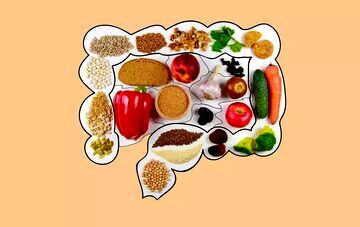 تأثیر رژیم غذایی پرچرب بر سلامت سیستم ایمنی روده
