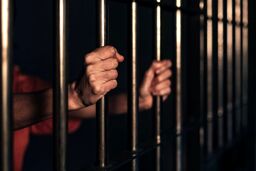 ابهام در پرونده قتل با سم مار