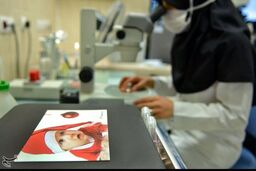 آخرین خبر از پرونده جنجالی گم‌شدن جنین‌ها در بیمارستان آبان تهران
