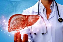با این کارها روند پیری کبد را به تعویق بیاندازید