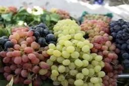 خواص معجزه آسای این میوه بهشتی برای سلامت قلب و مغز