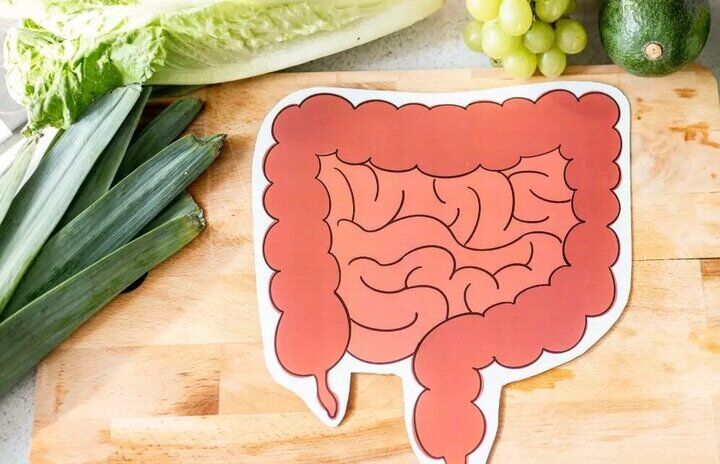 ۵ عادت طلایی برای داشتن روده‌ای سالم