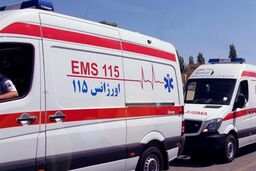۴۰ زائر حادثه‌دیده در واژگونی اتوبوس در عراق، به ایران تحویل داده شدند