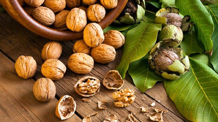 این آجیل خواب خوب را تضمین می‌کند