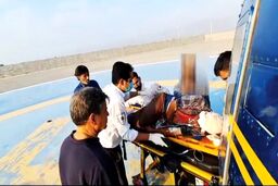 نجات شگفت انگیزه چوپان میانسال از حمله خرس سیاه