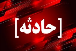 راننده شیطان‌ صفت زن مسافر را به باغ وحشت کشاند
