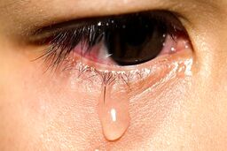 دختر ۱۷ ساله چگونه پا به خانه شیطانی گذاشت؟