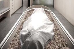 رییس سردخانه دانشکده پزشکی اعضای بدن مردگان را می‌فروخت