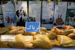 فرمانده یگان تکاوری یگان‌های ویژه فراجا اعلام کرد:
کشف ۲۹۴ کیلوگرم شیشه و تریاک در استان‌های سیستان و بلوچستان و کرمان