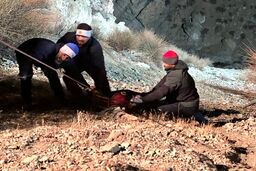 سقوط مرگبار خودرو به دره در تهران/ جزئیات
