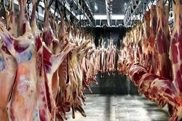 قیمت جدید گوشت قرمز امروز ۵ خرداد ۱۴۰۵ / گوشت خورشتی کیلویی چند شد؟ + جدول