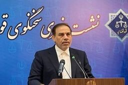 قوه قضاییه: محمد ساعدی نیا در بازداشت است/ دستور توقیف اموال صادر شد
