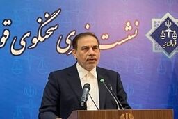 قوه قضاییه: محمد ساعدی نیا در بازداشت است/ دستور توقیف اموال صادر شد