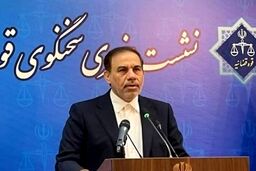 قوه قضاییه: محمد ساعدی نیا در بازداشت است/ دستور توقیف اموال صادر شد