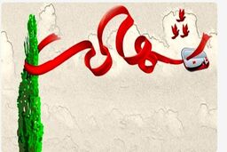 شهادت دانشجوی دانشگاه انقلاب اسلامی در حملات اخیر