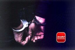 دستگیری ۵ عنصر وابسته به آمریکا و اسرائیل در این استان