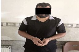 سارق موبایل‌قاپ، پلیس را به مرکز جعل پلاک رساند